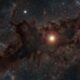 Em 2018, mais de 5 mil voluntários fizeram 860 mil classificações de estrelas e encontraram uma que continuava ficando cada vez mais fraca, sem explicação definitiva