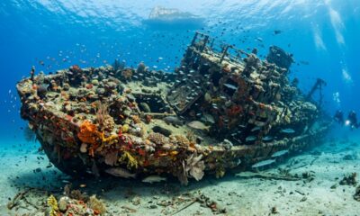 Em 1973, um mergulhador começou a afundar barcos velhos para criar abrigo no fundo do mar e, décadas depois, mais de 30 embarcações formavam um recife artificial cheio de vida