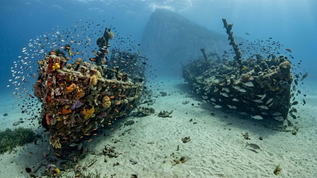 Em 1973, um mergulhador começou a afundar barcos velhos para criar abrigo no fundo do mar e, décadas depois, mais de 30 embarcações formavam um recife artificial cheio de vida