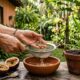 Como plantar maracujá em vaso usando as sementes da própria fruta: o método de lavagem e secagem que aumenta a germinação