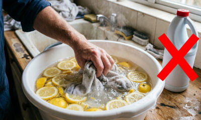 Sem usar cloro, nem estragar o elástico: a melhor forma de clarear meias encardidas mergulhando as peças em água quente com rodelas de limão