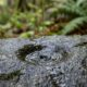 Provérbio africano do dia: "Sozinha, a gota d'água não fura a pedra, mas caindo todo dia no mesmo ponto ela vence a rocha". Lições sobre constância, paciência e por que o esforço diário derruba obstáculos que a força bruta não move