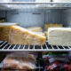 Congelamento de queijos na geladeira: o guia definitivo sobre quais tipos podem ir ao freezer sem esfarelar nem perder a textura original