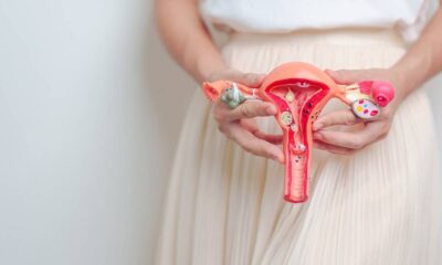Mulher segura modelo anatômico colorido do útero, ovários e trompas de falópio