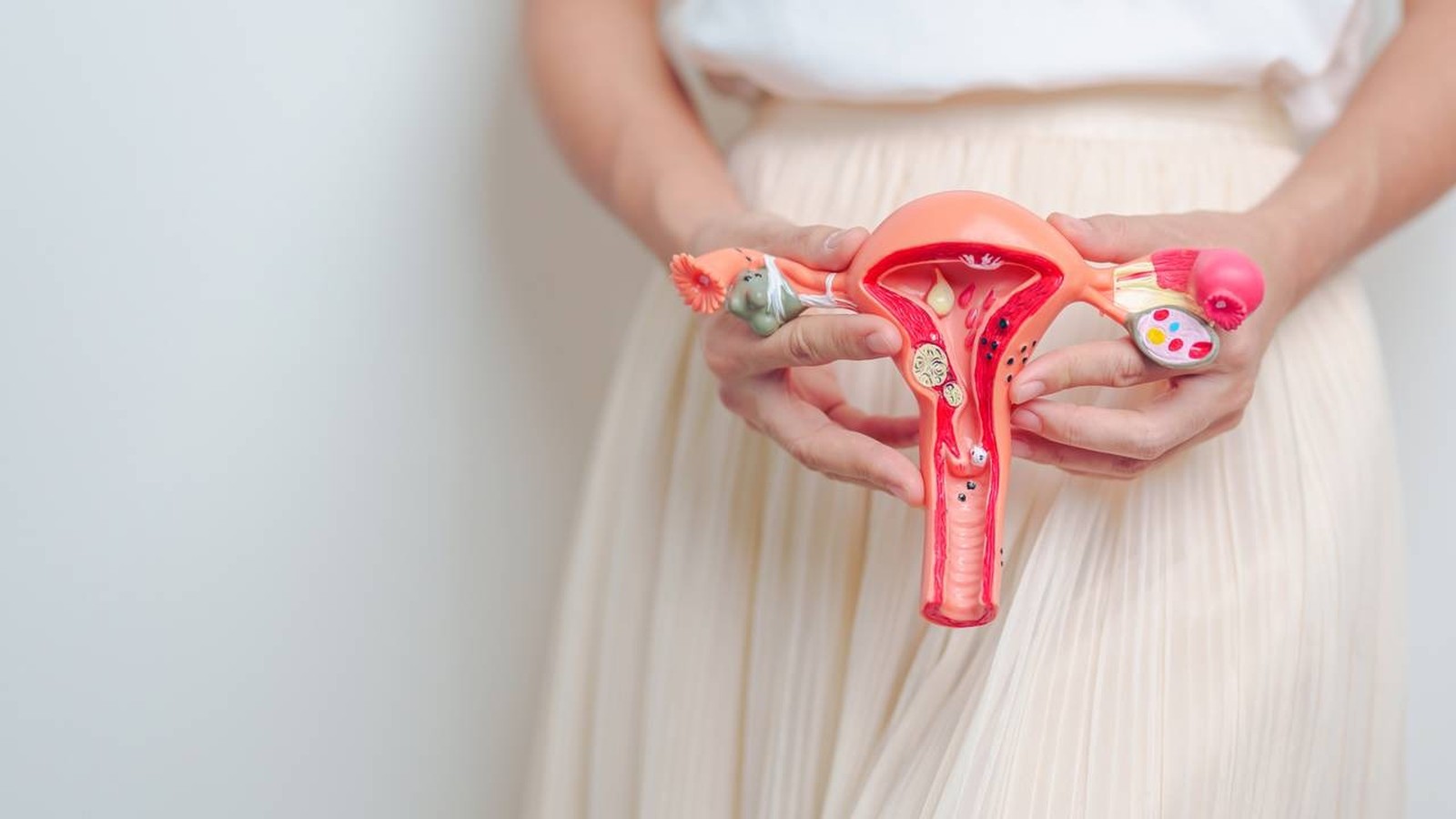 Mulher segura modelo anatômico colorido do útero, ovários e trompas de falópio
