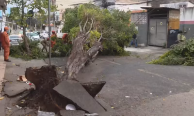 Ventania de até 68 km/h assusta moradores e causa transtornos no Rio