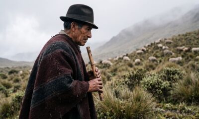 Homem idoso, chapéu, poncho, toca flauta de madeira, ovelhas na montanha