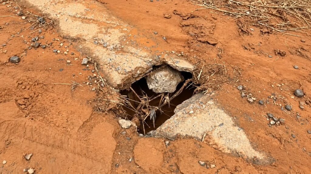 Durante corrida em estrada isolada, mulher escuta gritos saindo do chão e para para investigar