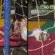 Cachorrinha Shih Tzu de tutu rosa e mulher agachada no pula-pula, vista por rede