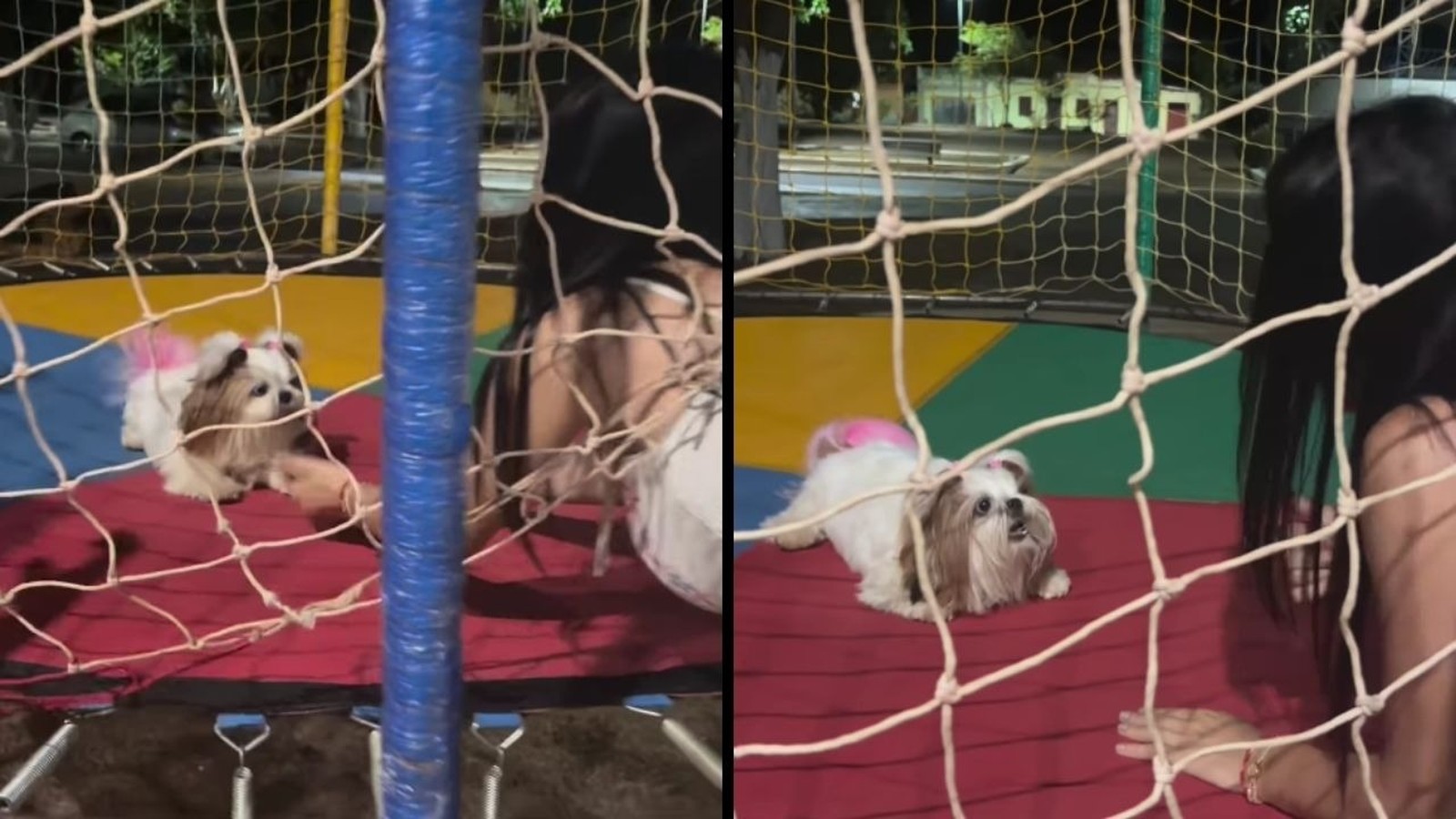 Cachorrinha Shih Tzu de tutu rosa e mulher agachada no pula-pula, vista por rede