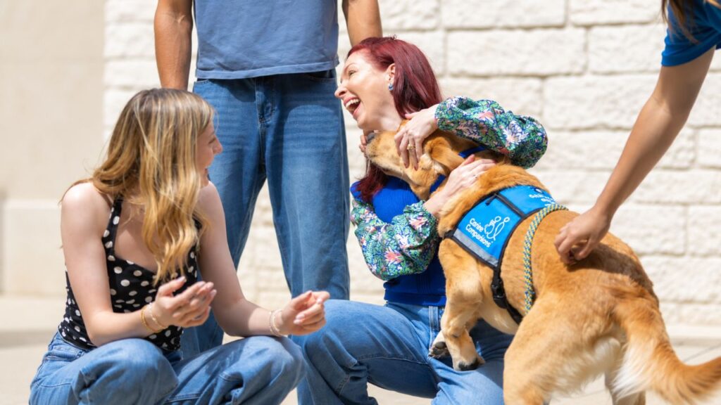 Cães de serviço emocionam ao reencontrar seus tutores pouco antes da formatura e reação surpreende quem acompanhava o momento