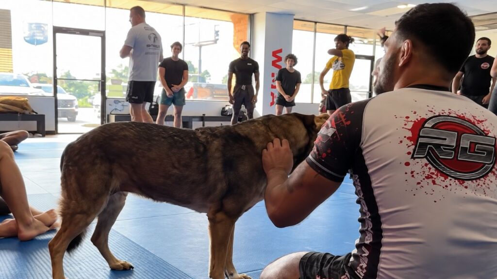 Veterano leva seu cachorro aposentado do Exército para todos os treinos de MMA e parceria inseparável emociona quem acompanha a rotina