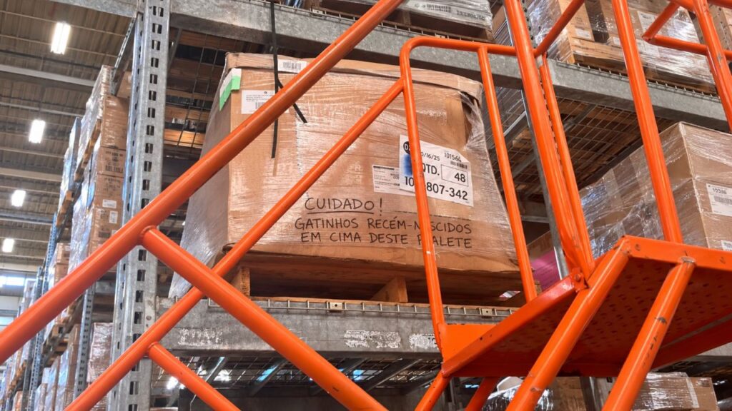 Cliente da Home Depot encontra caixa com aviso de “Cuidado” e fica surpresa ao ouvir um choro vindo de dentro