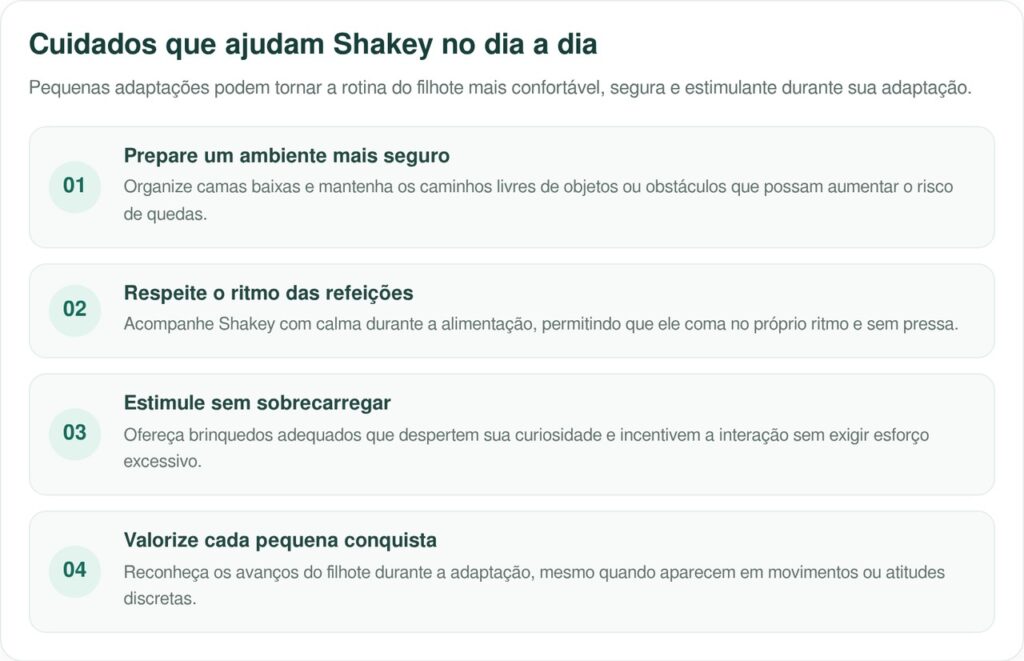 Filhote que tropeça a cada passo se recusa a desistir e emociona ao mostrar uma força muito maior que suas dificuldades