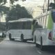 Dois ônibus brancos e verdes parados em uma rua, com homens na calçada