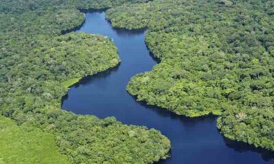 Amazônia abriga mais de 2,7 mil espécies de peixes, segundo estudo