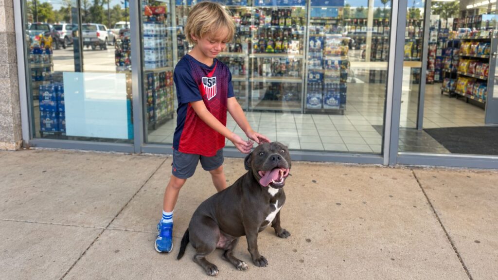 Menino encontra cachorro abandonado sozinho em posto de gasolina e não consegue conter as lágrimas ao perceber a situação