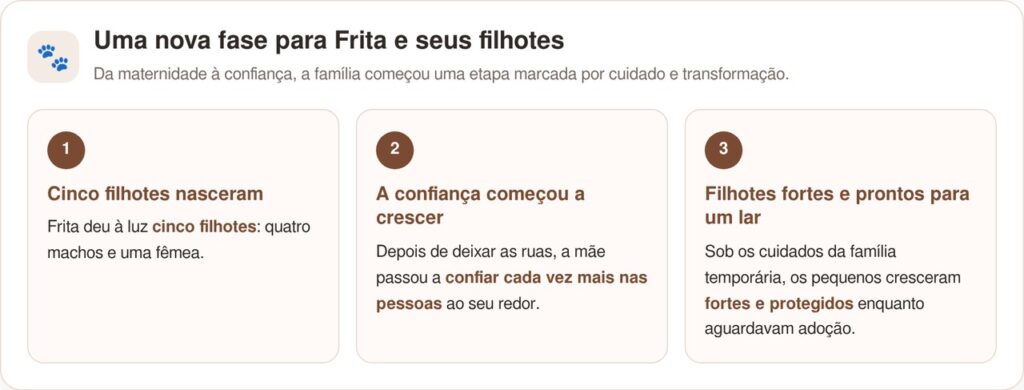 Cão de rua assustado passou meses fugindo de todos pelas ruas, até que finalmente confiaram nele e descobriram o adorável segredo que escondia