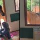 Criança alimenta cavalo na porta de casa e depois o observa pela janela com grades