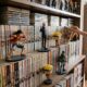 Pessoa segurando mangá em estante cheia de volumes, com figuras de Luffy, Gojo e Naruto