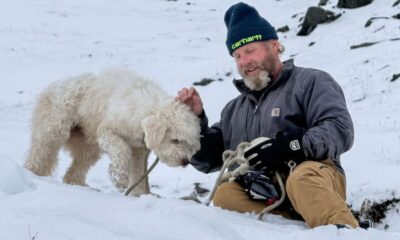 Homem barbudo com gorro Carhartt e luvas Hestra acaricia cachorro branco na neve