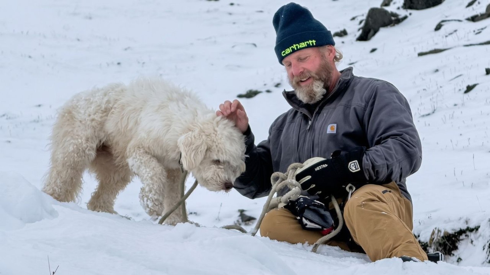 Homem barbudo com gorro Carhartt e luvas Hestra acaricia cachorro branco na neve