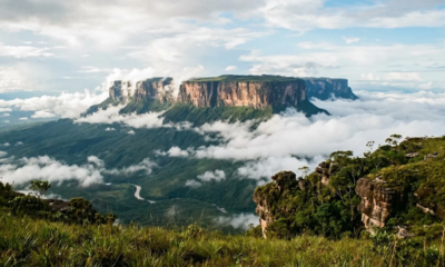 No extremo norte do Brasil, uma montanha de topo plano com quase 2 bilhões de anos guarda um mundo isolado do resto do planeta