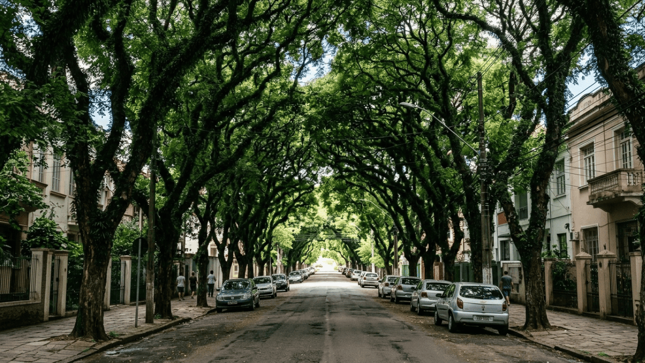 Parece filme, mas fica no Brasil: onde fica a rua mais bonita do mundo, com 156 árvores formando um túnel verde que se tornou a primeira do continente protegida como patrimônio ecológico