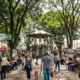 O Dia da Árvore nasceu em uma cidade paulista em 1902, quando 600 crianças participaram de uma festa que desafiava a lógica da época