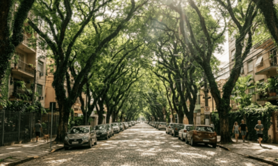 Parece até filme, mas é no Brasil: a rua eleita a mais bonita do mundo, com 156 árvores formando um túnel verde e tombada como patrimônio ecológico, pioneira no continente