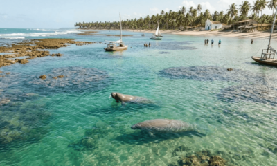 A vila nordestina onde piscinas naturais surgem na maré baixa, cercada por peixes-boi e dentro da maior unidade de conservação marinha federal do Brasil