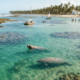 A vila nordestina onde piscinas naturais surgem na maré baixa, cercada por peixes-boi e dentro da maior unidade de conservação marinha federal do Brasil