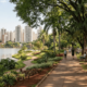 A Pequena Londres do Paraná já movimentou o mercado mundial de café e tem um lago que virou símbolo da cidade