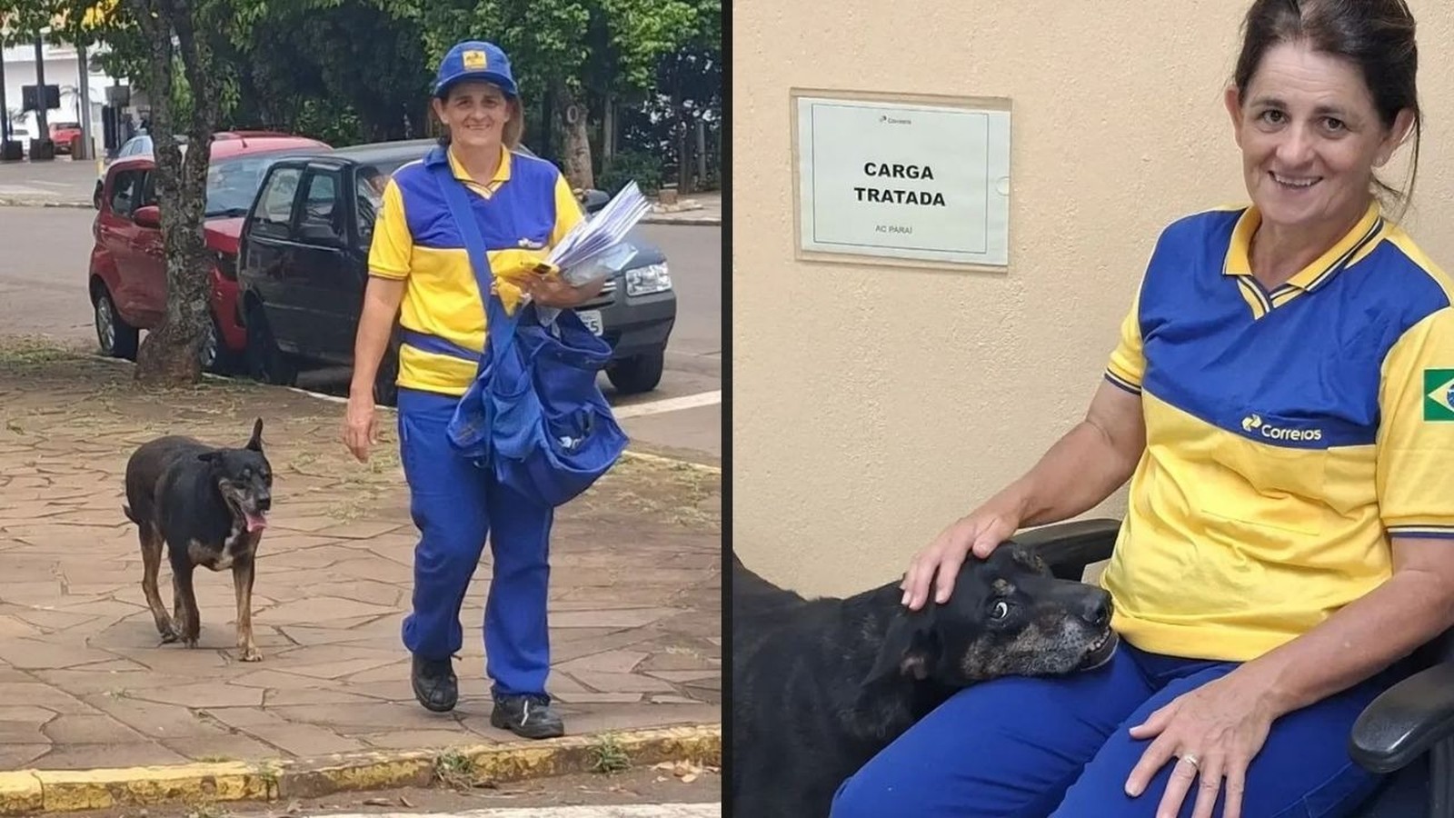 Mulher carteira Correios e cão preto, duas cenas: externa e interna com placa 'CARGA TRATADA'