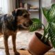 Cachorro de pelagem marrom e preta morde uma folha de planta em um vaso caído