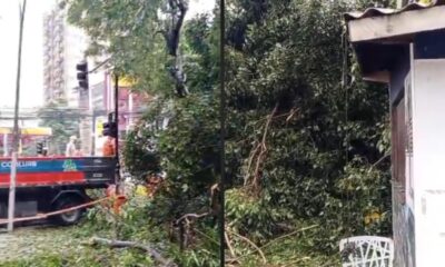 Caminhão da Comlurb remove galhos de árvore caída perto de quiosque destruído