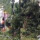 Caminhão da Comlurb remove galhos de árvore caída perto de quiosque destruído
