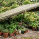 Abrigo inclinado de lona verde e madeira protege muitos vasos de plantas no jardim