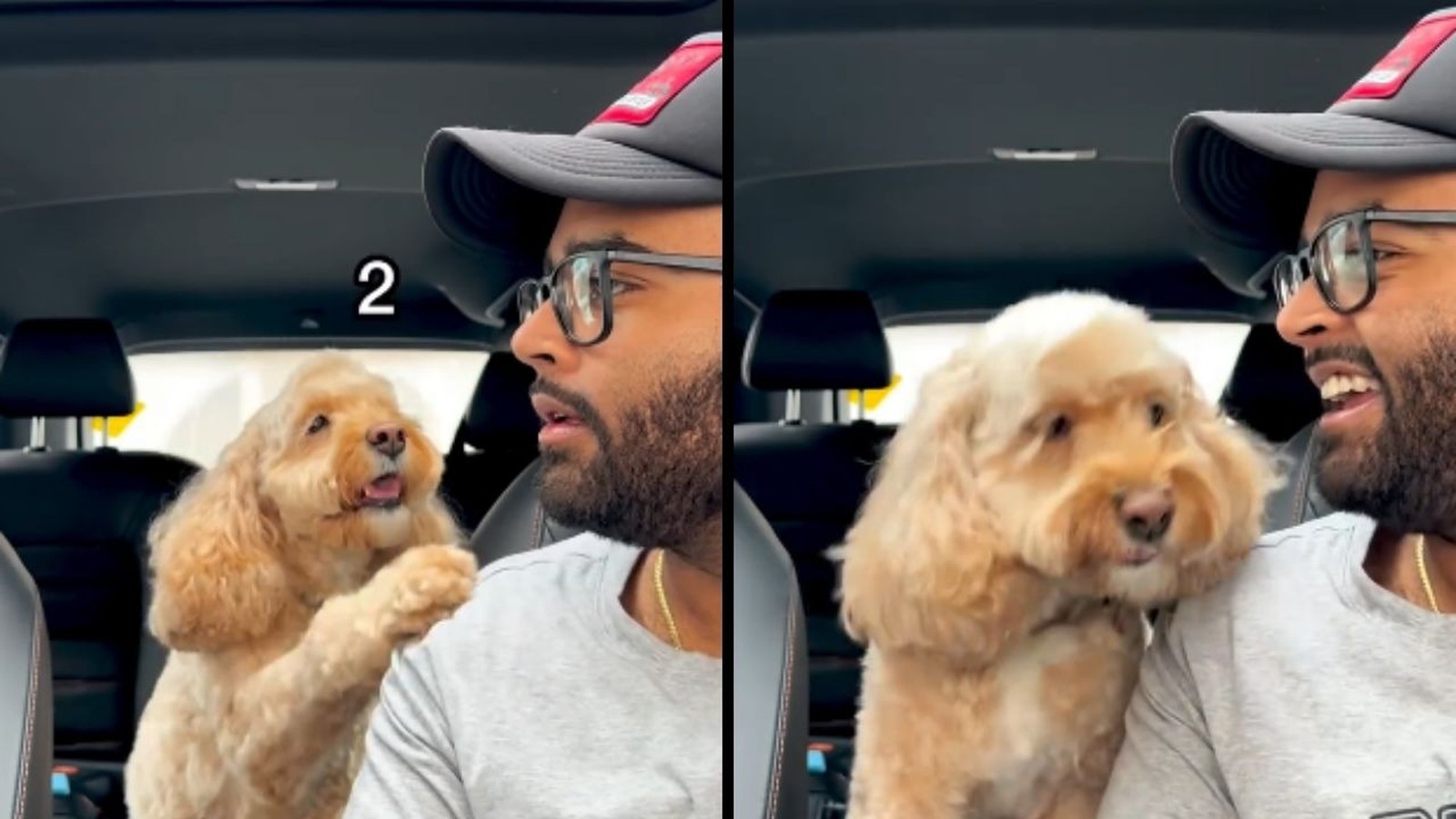 Homem de boné e óculos e cockapoo loiro em carro, com o número 2