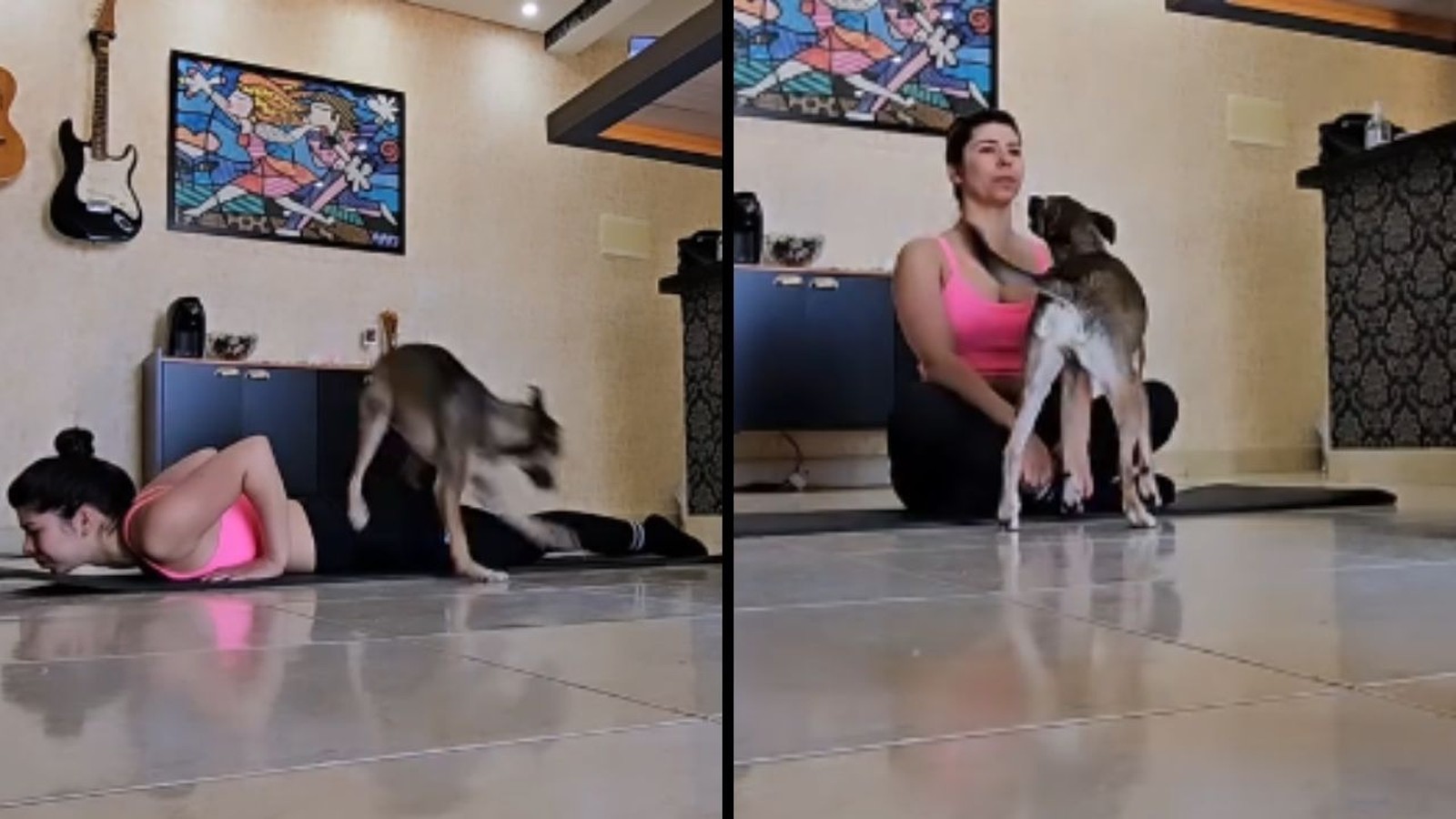 Mulher de rosa fazendo yoga, cão pulando nas costas dela em duas cenas, dentro de casa