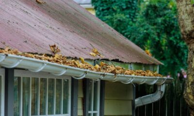 Você limpa as calhas apenas quando o céu escurece: especialista explica por que essa atitude tardia é a receita para perder móveis em casa