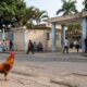 Galo colorido na rua em frente a um hospital com pessoas andando e sentadas
