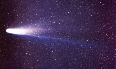 Cometa brilhante com cauda longa e luminosa em um céu noturno estrelado