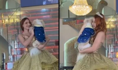 Jovem com tiara e vestido dourado segura cão branco de casaco azul, em salão