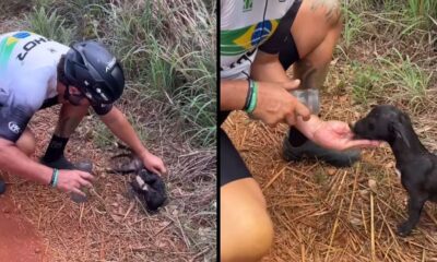 Ciclista, capacete ATHOT, camiseta ZOHOZ, oferece água em mão a filhote preto molhado