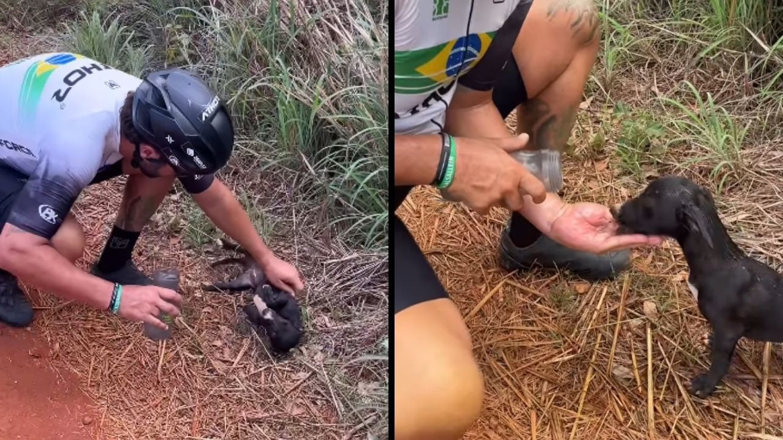 Ciclista, capacete ATHOT, camiseta ZOHOZ, oferece água em mão a filhote preto molhado