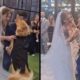 Noivos, vestidos de casamento, abraçam um golden retriever no altar, com convidados ao fundo.
