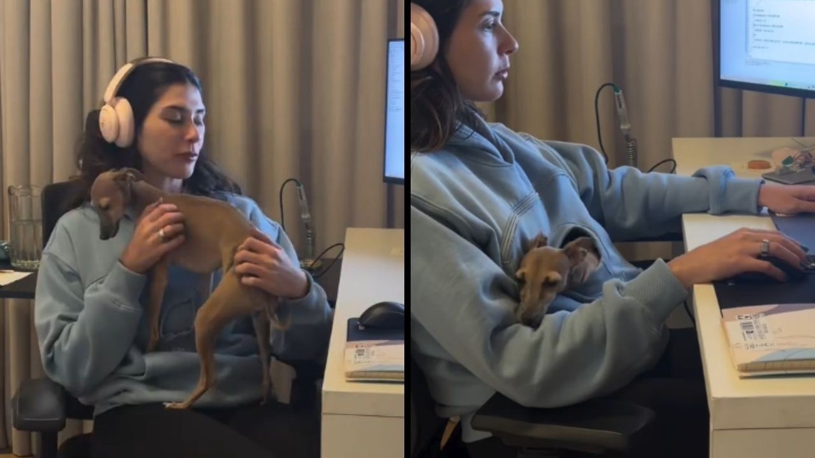 Mulher com fones trabalha no computador, cachorro pequeno no casaco canguru, mesa e monitor