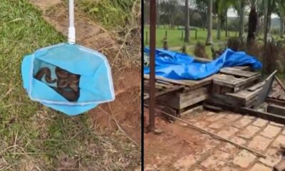 Na esquerda, rede azul com cobras; na direita, área externa com entulho e lona azul