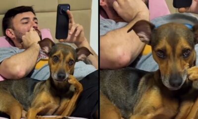 Homem e cachorro marrom deitados, ambos com mãos e patas na boca em gesto similar